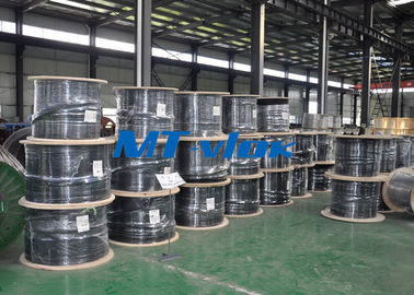 Multi - Core Stainless Steel Coiled Tubing ASTM A213 S30400 / S30403 Bright Annealed
